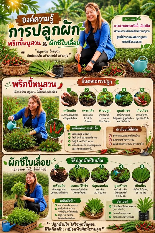 กิจกรรมสร้างความมั่นคงทางอาหาร